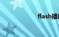 flash播放器插件