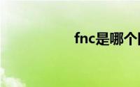 fnc是哪个国家的战队