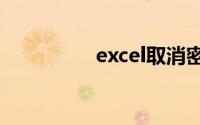 excel取消密码怎么设置