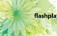 flashplayer 1120