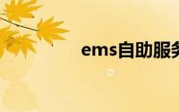 ems自助服务客户端下载
