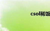 csol稀饭辅助官网