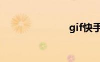gif快手电脑版