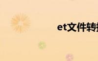 et文件转换成excel