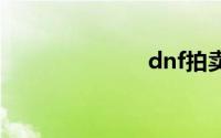 dnf拍卖额上限