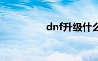 dnf升级什么紫卡最赚钱