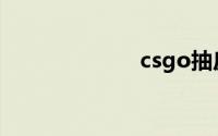 csgo抽皮肤网站