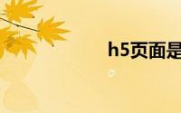 h5页面是什么意思