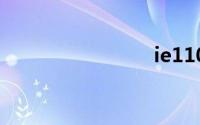 ie110官网