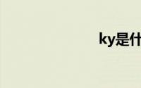 ky是什么意思