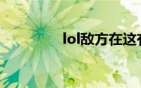 lol敌方在这有视野怎么发