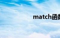 match函数使用教程