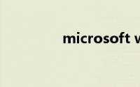 microsoft word2010版