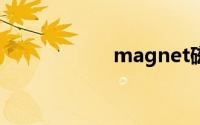 magnet磁力下载站