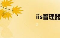 iis管理器怎么打开