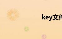 key文件查看器