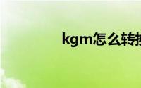 kgm怎么转换成mp3格式
