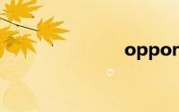 oppor11刷机