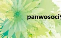 panwosoci什么牌子空调