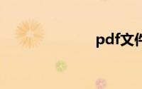 pdf文件阅读器