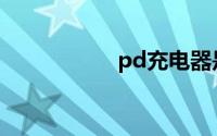 pd充电器是什么意思