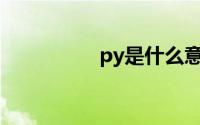 py是什么意思网络语言