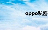 oppo私密保险箱在哪