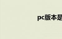 pc版本是什么意思