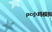 pc小鸡模拟器手柄设置