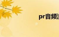 pr音频没有声音