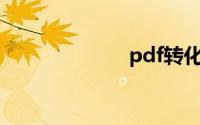 pdf转化为word