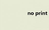 no print cartridge