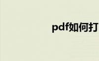 pdf如何打印成小册子