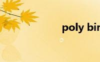 poly birdge攻略