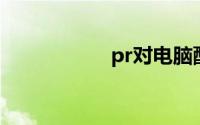 pr对电脑配置的要求