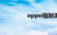 oppo强制清除锁屏密码