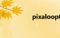pixaloop电脑版下载