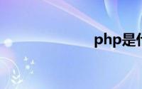 php是什么格式