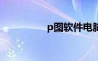 p图软件电脑版在线使用