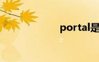 portal是什么意思