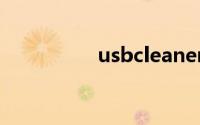 usbcleaner移除写保护