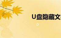 U盘隐藏文件怎么显示