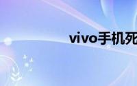 vivo手机死机怎么刷机