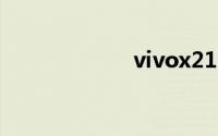 vivox21屏幕多大