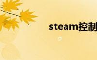 steam控制台怎么打开