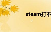 steam打不开弹出英文