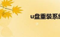 u盘重装系统win7教程