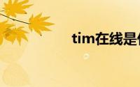 tim在线是什么意思qq