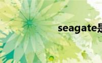 seagate是什么牌子