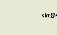 skr是什么梗
